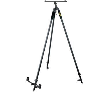 Black Cat - img17172389869683.jpeg